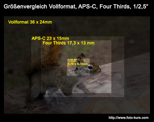 Size-comparison of different image sensors full-frame, APS-C, Four Thirds